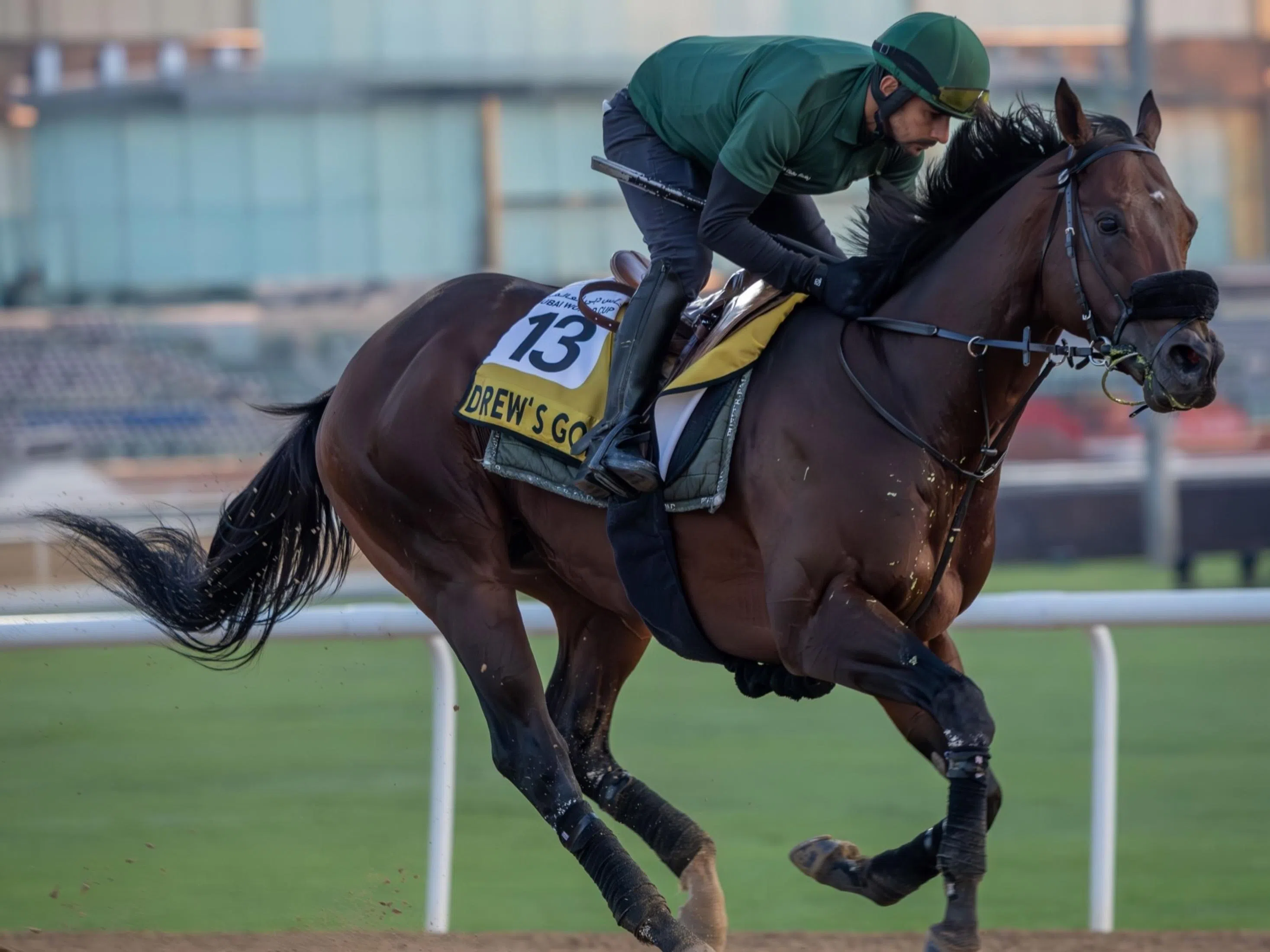 Drew's goes for Gold in Dubai